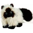 Webkinz Himalayan Cat