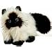 Webkinz Himalayan Cat