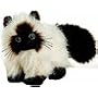 Webkinz Himalayan Cat