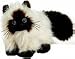 Webkinz Himalayan Cat
