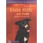 Erste Hilfe am Hund: Im Notfall das Richtige tun