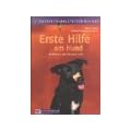 Erste Hilfe am Hund: Im Notfall das Richtige tun