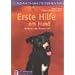 Erste Hilfe am Hund: Im Notfall das Richtige tun