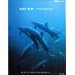 DEEP BLUE PHOTOBOOK