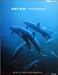 水中写真集「DEEP BLUE PHOTOBOOK」