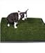 Pup-Head Portable Dog Potty - Regular Size 20