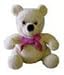 KJB Security C1250C24 Teddy Bear Camera Color 2.4Ghz