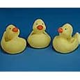Rubber Duckies Yellow