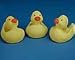 Rubber Duckies Yellow