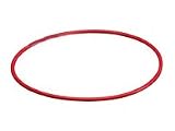 Olympus O-RING UW PPO-01 C-5050