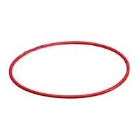 Olympus POL-020A Replacement O-Ring for the PT-020 (Rear Lid) Underwater Housing by Olympus