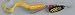 Mepps� Black Fury� Spinnerbait, FLUOR. DOTS