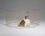 Midwest Container 8 Panel Exercise Pen Gold 24x30 Inch - 542-30