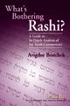 What s Bothering Rashi? -- Bamidbar (What s Bothering Rashi Series)