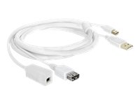 DELOCK Kabel Displayport mini+USB Verlaengerung Preisvergleich