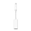 Apple Thunderbolt to FireWire Adapter