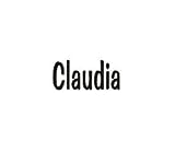 Clearly Charming Name Claudia Stainless Steel Text Numbers Types Italian Charm Link