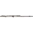 Gemeinhardt 2SP Silver Plated Flute Outfit
