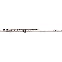 Gemeinhardt 2SP Silver Plated Flute Outfit