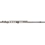 Gemeinhardt 2SP Silver Plated Flute Outfit