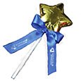 Min Qty 50 Chocolate Star Lollipops, 2 oz.