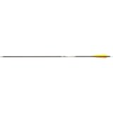 12 - Pk. Gold Tip® 7595 Expedition Hunter Arrow with Vane Black