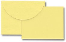 Lemon Notecards With Envelopes by Hero Arts