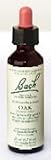 Bach Flower Essence - Oak