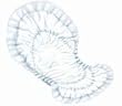 SCA Dry Comfort Day Incont Heavy Pant Liner Holds Up To 1400Cc Of Fluid White - Case of 80