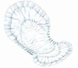 Dry Comfort Day Incont Heavy Pant Liner Holds Up To 1400cc Of Fluid White - Case of 80
