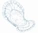Dry Comfort Day Incont Heavy Pant Liner Holds Up To 1400cc Of Fluid White - Case of 80