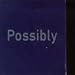 Possibly Maybe Pt.1