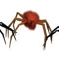 Halloween Decoration: Spider Neon Orange