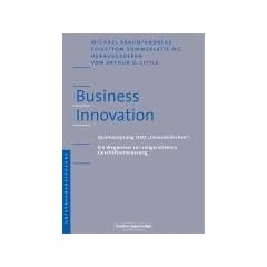 Business Innovation. Quantensprung statt 'Innovati�nchen'. Ein Wegweiser zur zielgerichteten Gesch�fterneuerung.