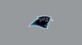 Carolina Panthers Pool Table Felt