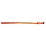HAMILTON DOG ST NYLON DELUXE COLLAR 3 8X12 MANGO - B0006G52JC