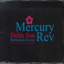 Delta Sun Bottleneck Stomp - CD2