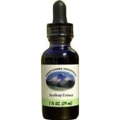 Liquid Scullcap Extract by HoneyCombs Industries