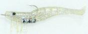 DOA 1/4 oz Silver Holographic Shrimp Pk of 3 (3 inch) D.O.A.