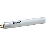 Actinic 460nm SlimPaq T-5 Fluorescent HO Lamp - 39W - 34 in.