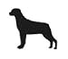 Rottweiler Leash Hook (Approx. 9.5' x 6.5')