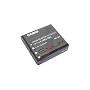 Casio Long Life Lithium-Ion Rechargeable Battery for Z30/Z40/P600/P700