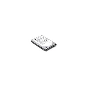 Lenovo ThinkPad - Hard drive - 320 GB - internal - 2.5 - SATA-150 - 7200 rpm by Lenovo