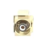 Snap-in Rca White Ivory Keystone Module