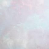 Westcott Masterpiece Muslin Sheet Background, 10' x 24', Light Pastel