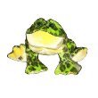 Webkinz Bullfrog with 3-pk. Cards