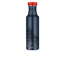 Thermos 24-Ounce ROHO Hydration Bottle, Brit