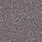 Gunmetal