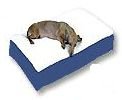 Pet Product SN-95001 Super Ortho Lounger - Large