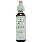 Bach Essence Hornbeam 20 Liquids